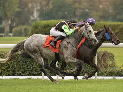 Horse Racing