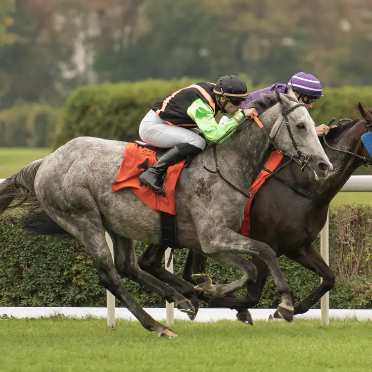 Horse Racing