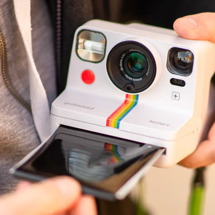 Polaroid Day